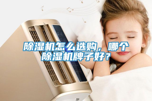 除濕機怎么選購，哪個除濕機牌子好？