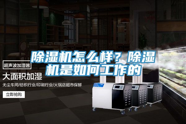 除濕機(jī)怎么樣？除濕機(jī)是如何工作的