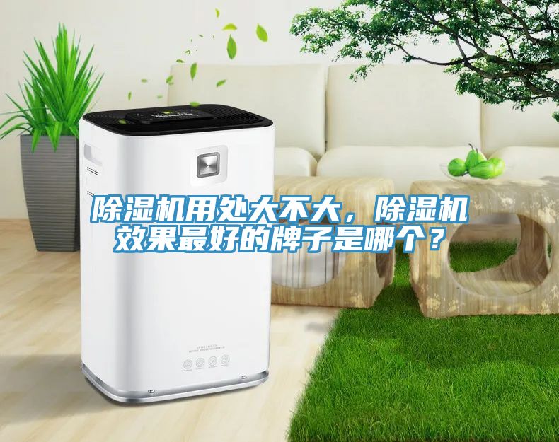 除濕機(jī)用處大不大，除濕機(jī)效果最好的牌子是哪個(gè)？