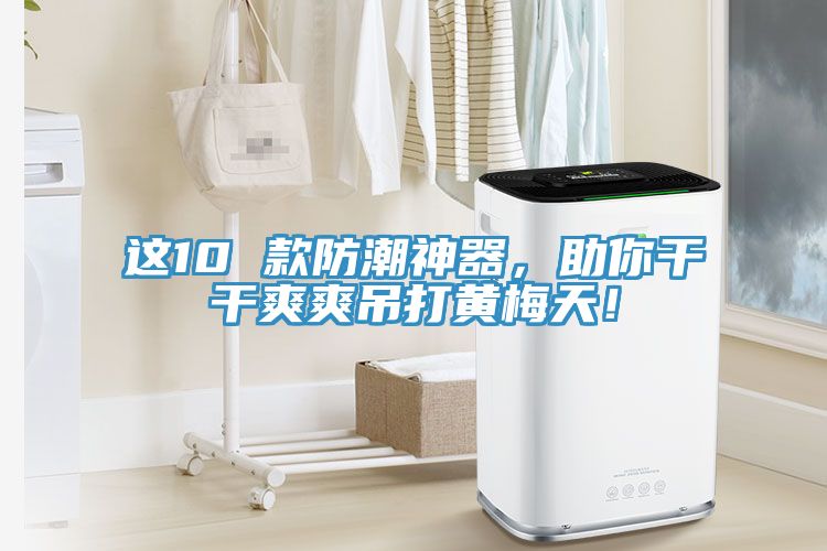 這10 款防潮神器，助你干干爽爽吊打黃梅天！