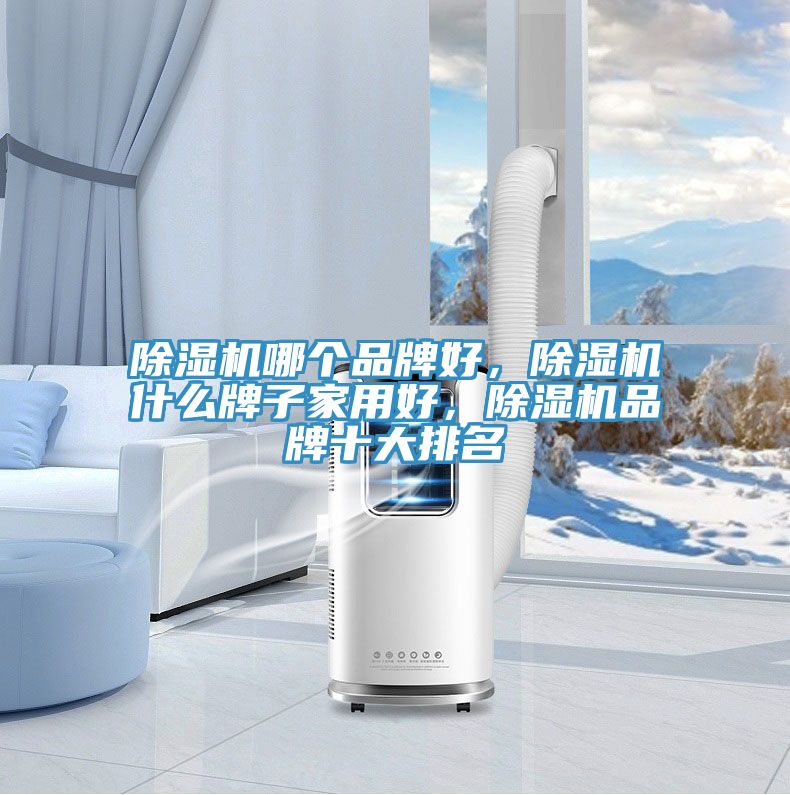 除濕機(jī)哪個(gè)品牌好，除濕機(jī)什么牌子家用好，除濕機(jī)品牌十大排名