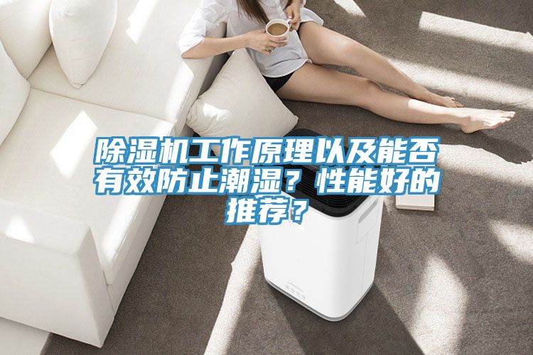除濕機工作原理以及能否有效防止潮濕？性能好的推薦？