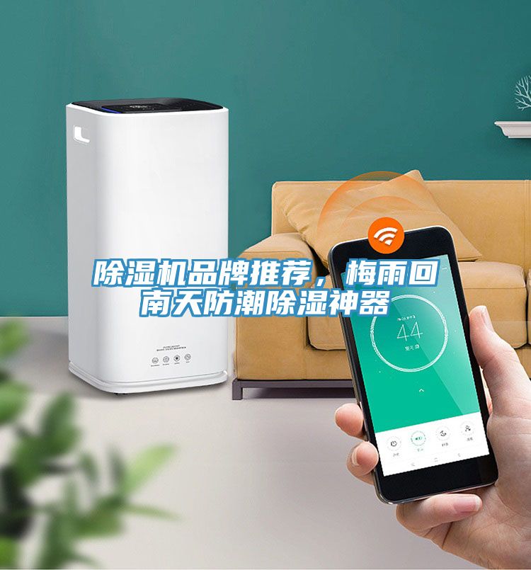 除濕機品牌推薦，梅雨回南天防潮除濕神器