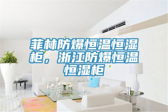 菲林防爆恒溫恒濕柜，浙江防爆恒溫恒濕柜