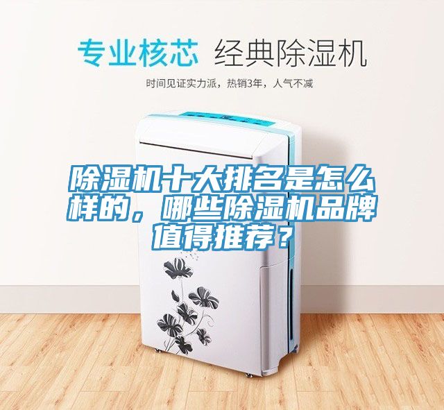 除濕機十大排名是怎么樣的，哪些除濕機品牌值得推薦？
