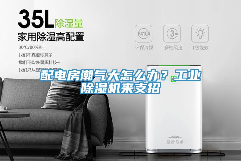 配電房潮氣大怎么辦？工業(yè)除濕機(jī)來支招