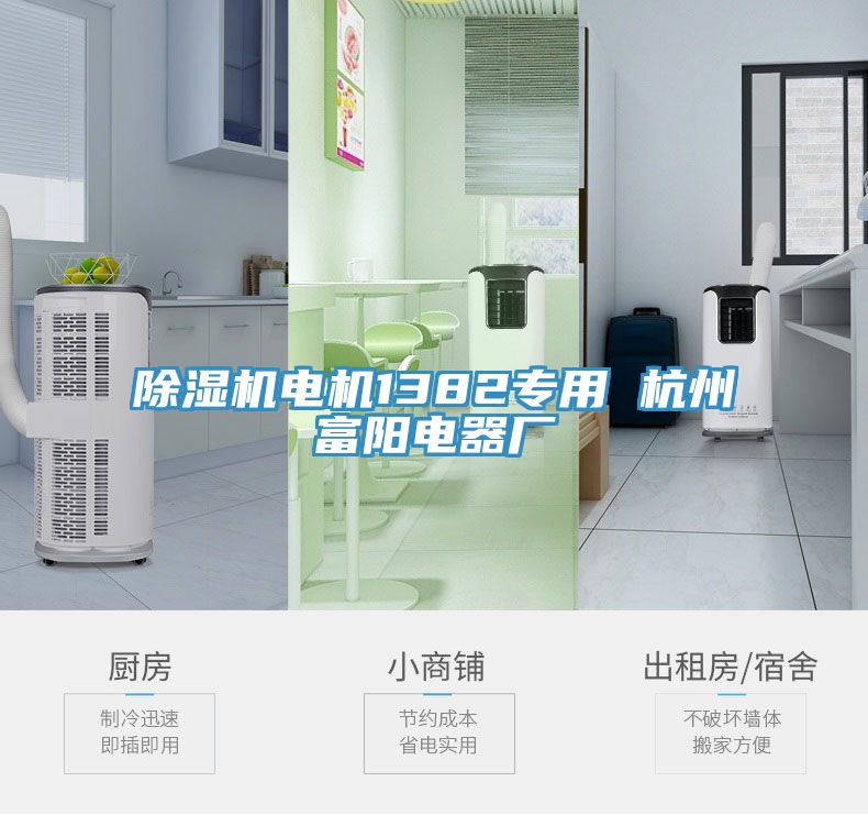 除濕機(jī)電機(jī)1382專(zhuān)用 杭州富陽(yáng)電器廠(chǎng)
