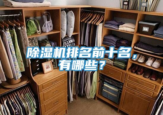 除濕機(jī)排名前十名，有哪些？