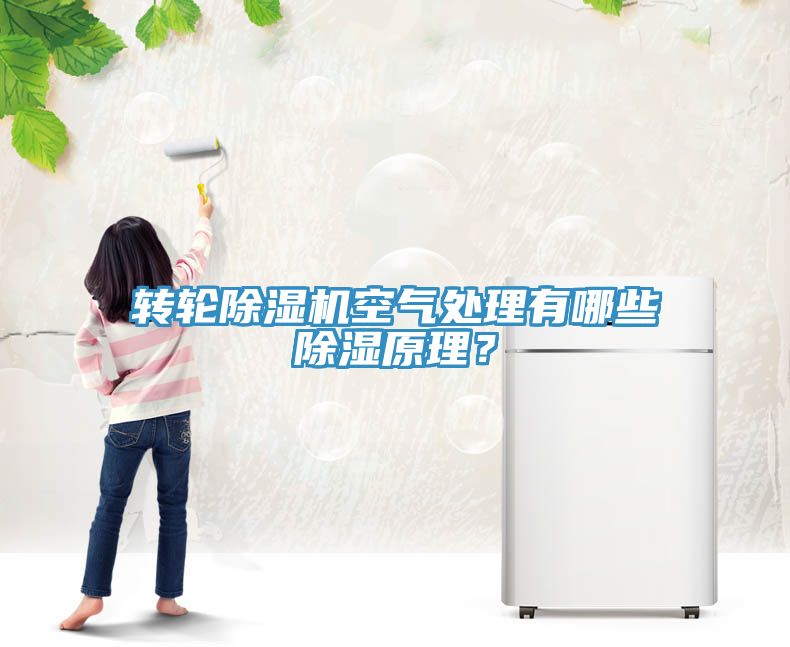 轉(zhuǎn)輪除濕機(jī)空氣處理有哪些除濕原理？
