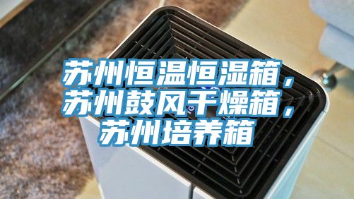 蘇州恒溫恒濕箱，蘇州鼓風(fēng)干燥箱，蘇州培養(yǎng)箱