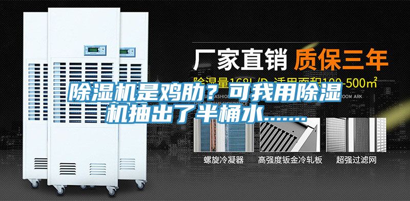 除濕機是雞肋？可我用除濕機抽出了半桶水.......
