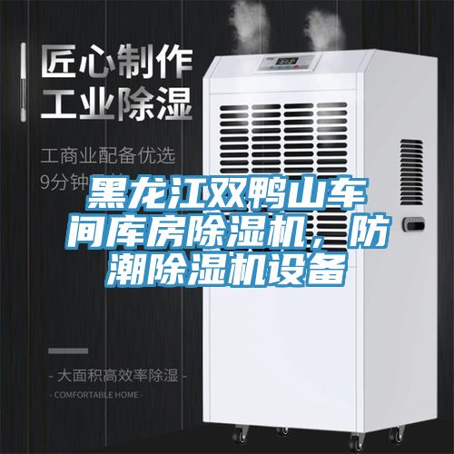 黑龍江雙鴨山車間庫房除濕機(jī)，防潮除濕機(jī)設(shè)備