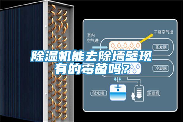 除濕機(jī)能去除墻壁現(xiàn)有的霉菌嗎？
