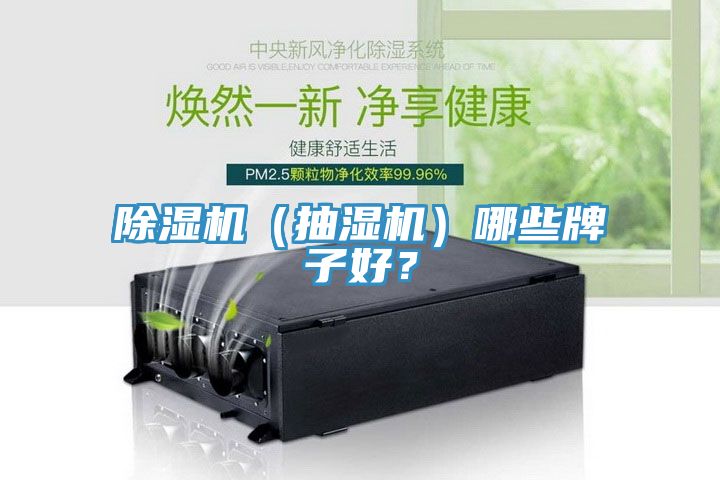 除濕機(jī)（抽濕機(jī)）哪些牌子好？