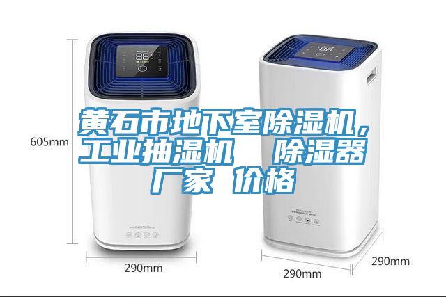 黃石市地下室除濕機(jī)，工業(yè)抽濕機(jī)  除濕器廠家 價(jià)格