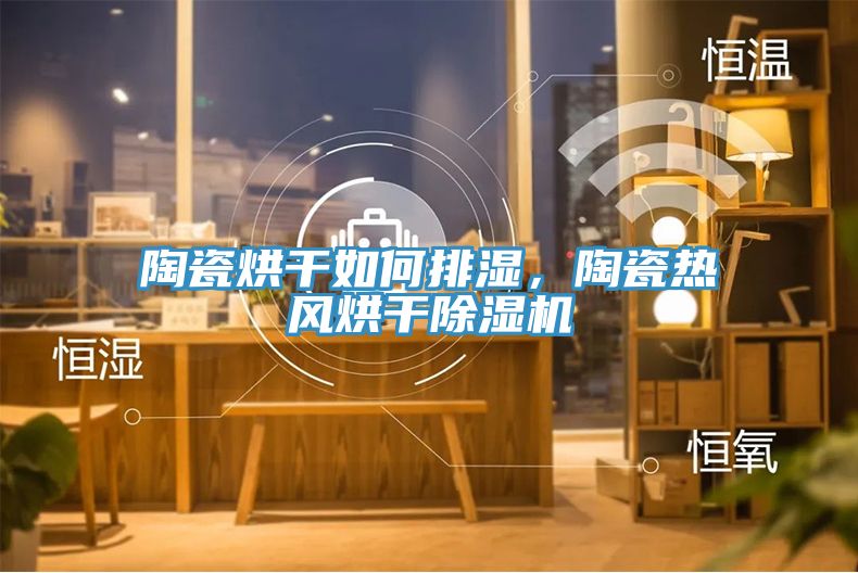 陶瓷烘干如何排濕，陶瓷熱風(fēng)烘干除濕機(jī)