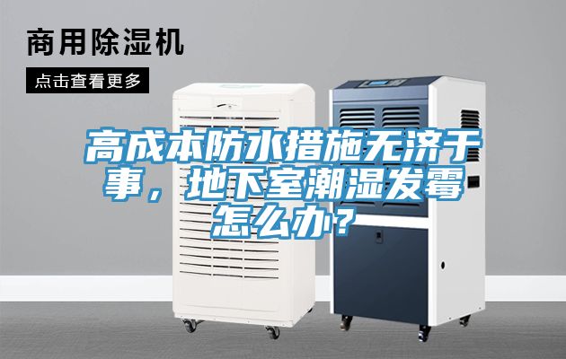高成本防水措施無濟(jì)于事，地下室潮濕發(fā)霉怎么辦？