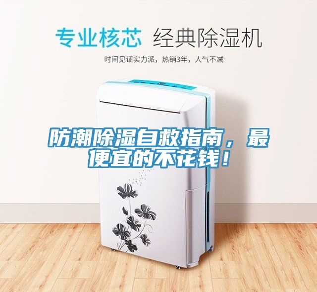 防潮除濕自救指南，最便宜的不花錢！