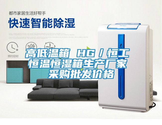 高低溫箱 HG／恒工 恒溫恒濕箱生產廠家 采購批發(fā)價格