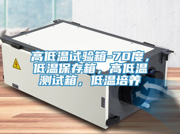 高低溫試驗(yàn)箱-70度，低溫保存箱，高低溫測試箱，低溫培養(yǎng)