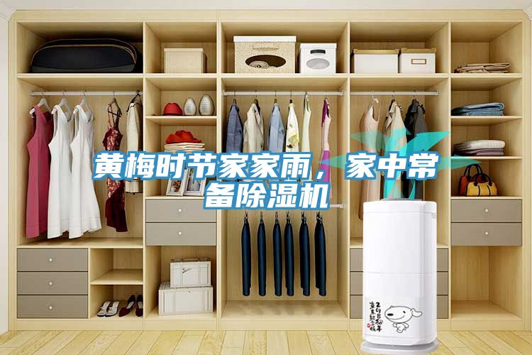 黃梅時(shí)節(jié)家家雨，家中常備除濕機(jī)