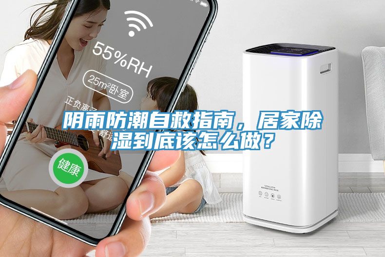 陰雨防潮自救指南，居家除濕到底該怎么做？