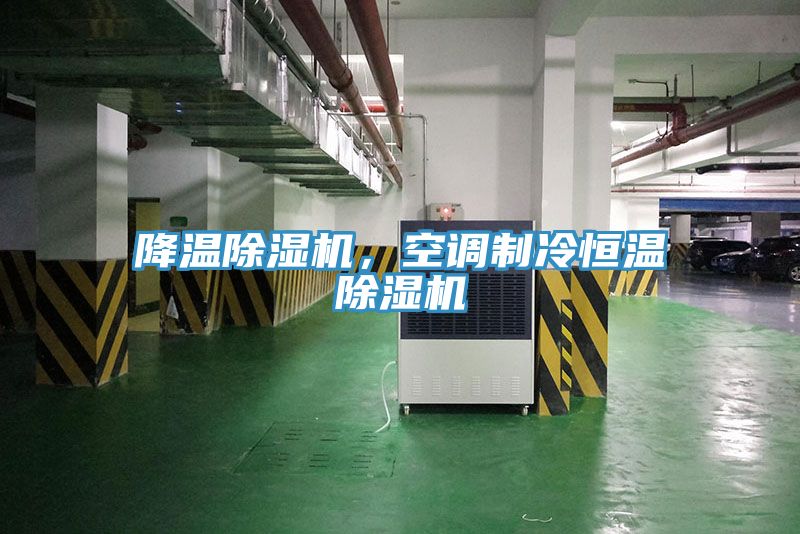降溫除濕機(jī)，空調(diào)制冷恒溫除濕機(jī)
