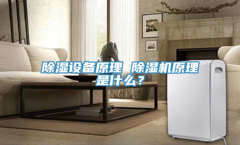 除濕設(shè)備原理 除濕機(jī)原理是什么？