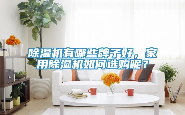 除濕機有哪些牌子好，家用除濕機如何選購呢？