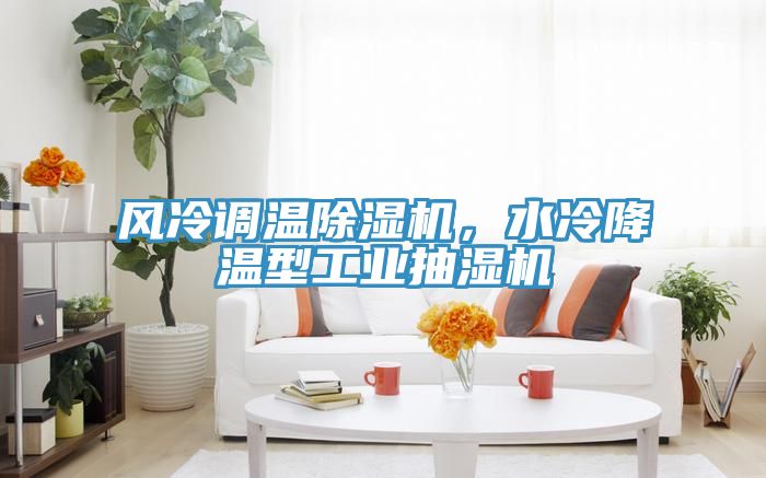 風(fēng)冷調(diào)溫除濕機，水冷降溫型工業(yè)抽濕機