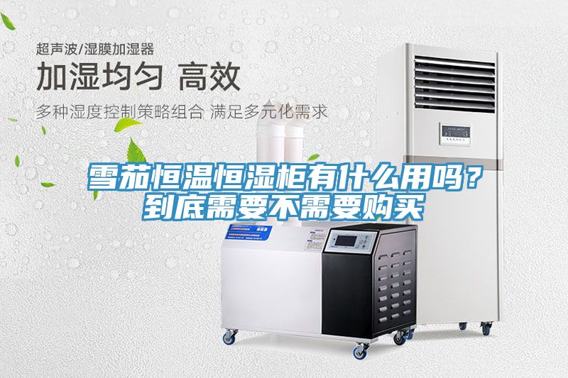 雪茄恒溫恒濕柜有什么用嗎？到底需要不需要購買
