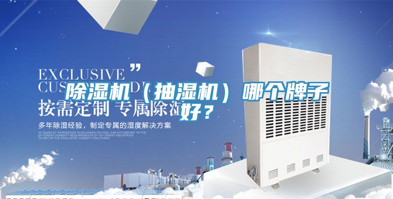 除濕機(jī)（抽濕機(jī)）哪個(gè)牌子好？