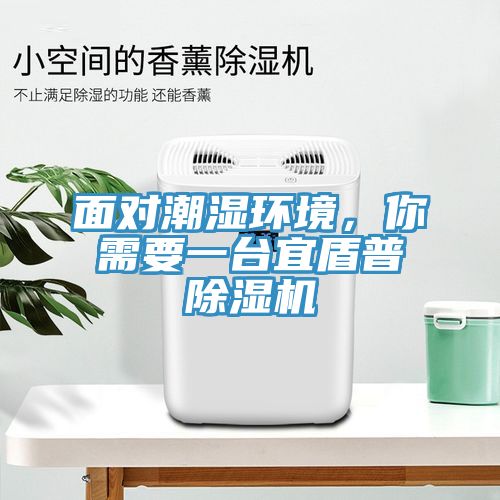 面對(duì)潮濕環(huán)境，你需要一臺(tái)宜盾普除濕機(jī)