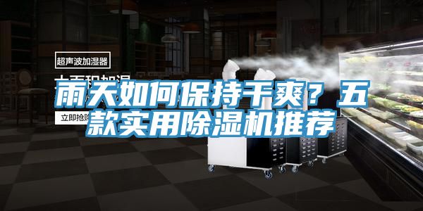 雨天如何保持干爽？五款實(shí)用除濕機(jī)推薦
