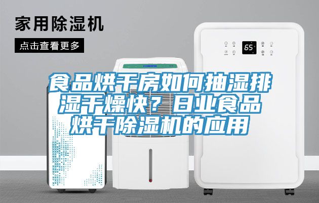 食品烘干房如何抽濕排濕干燥快？日業(yè)食品烘干除濕機(jī)的應(yīng)用