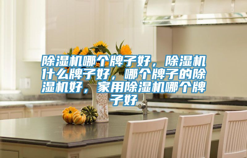 除濕機哪個牌子好，除濕機什么牌子好，哪個牌子的除濕機好，家用除濕機哪個牌子好