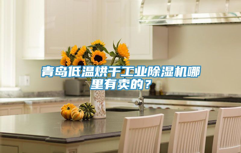 青島低溫烘干工業(yè)除濕機(jī)哪里有賣的？