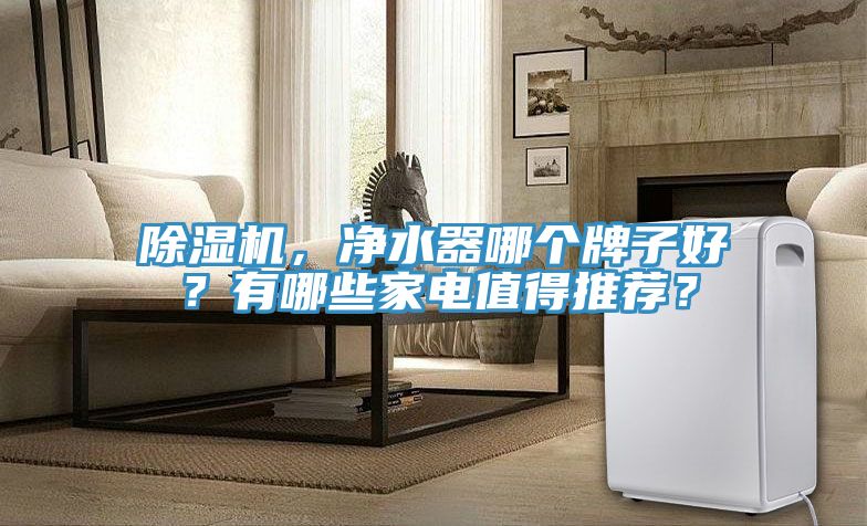 除濕機(jī)，凈水器哪個(gè)牌子好？有哪些家電值得推薦？