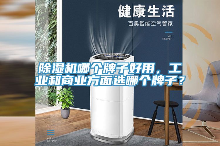 除濕機哪個牌子好用，工業(yè)和商業(yè)方面選哪個牌子？