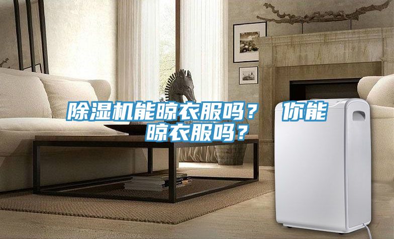 除濕機(jī)能晾衣服嗎？ 你能晾衣服嗎？
