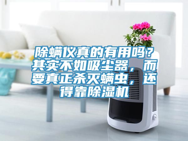 除螨儀真的有用嗎？其實不如吸塵器，而要真正殺滅螨蟲，還得靠除濕機