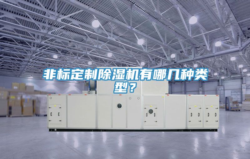 非標(biāo)定制除濕機(jī)有哪幾種類(lèi)型？