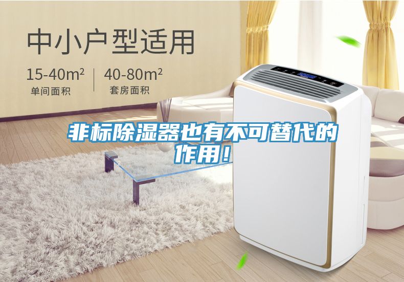 非標(biāo)除濕器也有不可替代的作用！