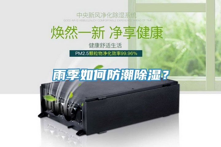 雨季如何防潮除濕？