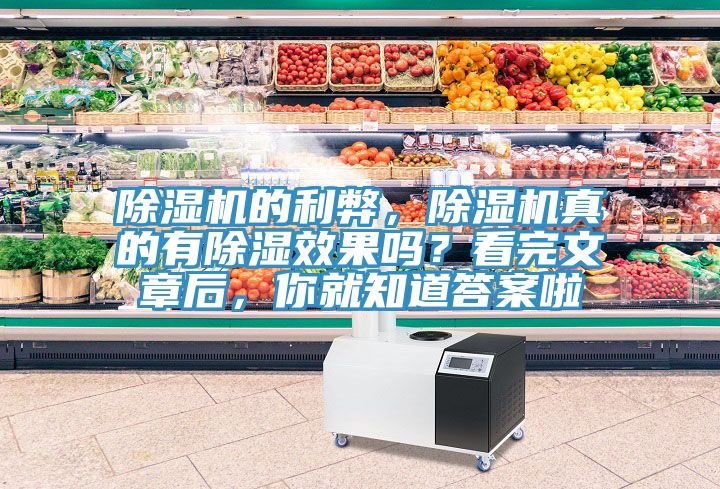 除濕機(jī)的利弊，除濕機(jī)真的有除濕效果嗎？看完文章后，你就知道答案啦