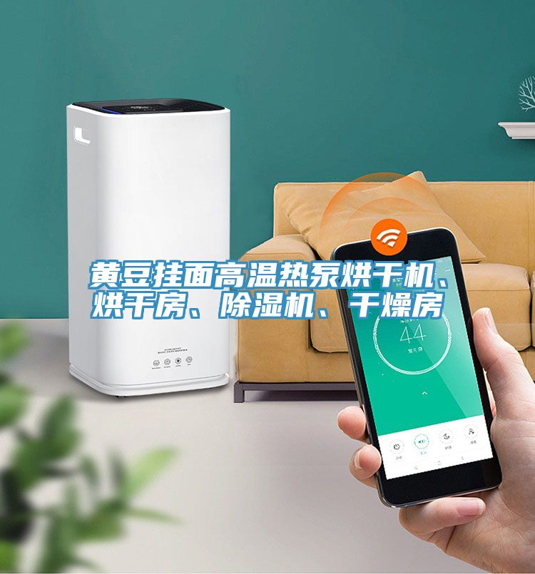 黃豆掛面高溫?zé)岜煤娓蓹C(jī)、烘干房、除濕機(jī)、干燥房