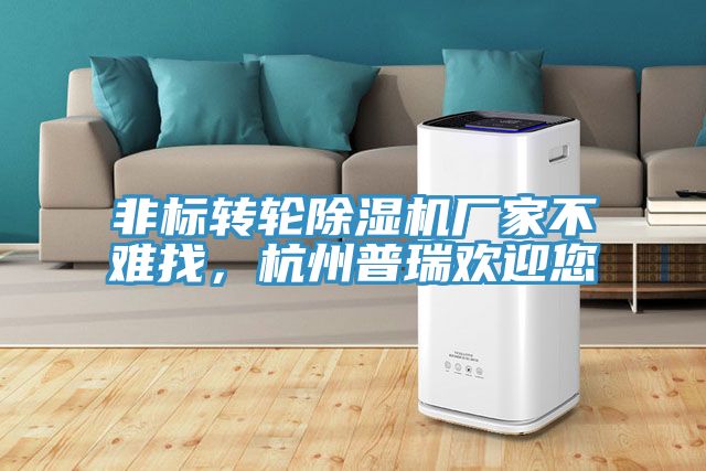 非標(biāo)轉(zhuǎn)輪除濕機廠家不難找，杭州普瑞歡迎您