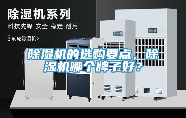 除濕機的選購要點，除濕機哪個牌子好？