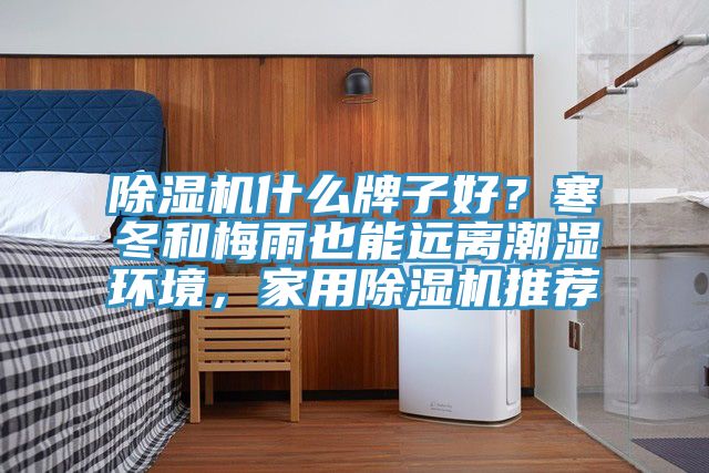 除濕機(jī)什么牌子好？寒冬和梅雨也能遠(yuǎn)離潮濕環(huán)境，家用除濕機(jī)推薦