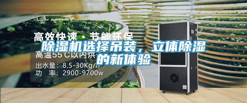除濕機(jī)選擇吊裝，立體除濕的新體驗(yàn)